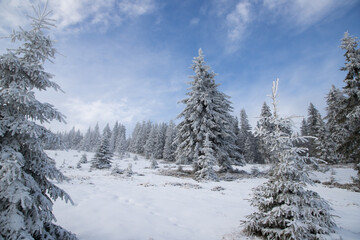 Obraz premium beautiful snow covered mountain landscape in winter
