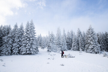 beautiful snow covered mountain landscape in winter