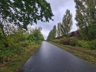 Fototapeta premium ein Radweg im Grünen in Berlin Johannisthal, mit atmosphärischem Himmel