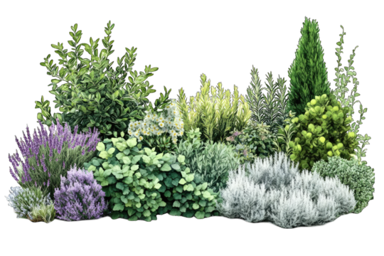 A diverse arrangement of various plants and herbs, showcasing greenery and texture.