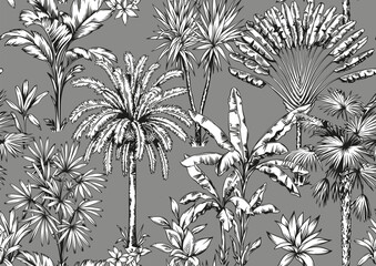 Tropical Hawaiian seamless pattern with palm trees. Botanical foliage monochrome background. Linear style. Vector illustration. Black and white hand drawn sketch.