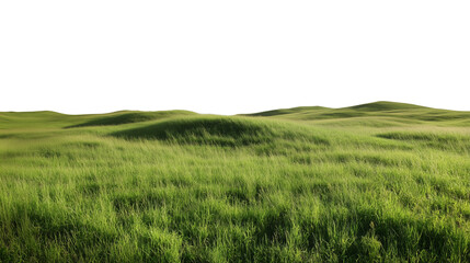 Obraz premium green grassland landscape isolated on white or transparent png 