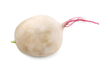 One fresh ripe turnip isolated on white