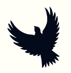 Obraz premium Vector drawing. Cute flying dove