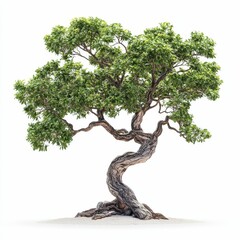 Green leaves, twisting trunk, ancient tree, sandy base.