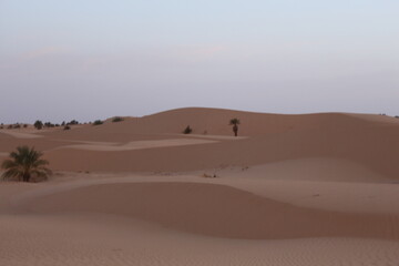 sand dunes in the sahara