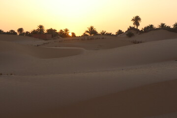 sunset in the desert