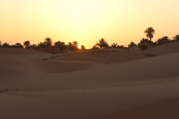 sunset in the desert
