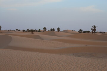 sand dunes in the sahara