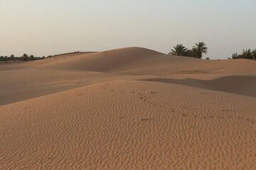 sand dunes in the sahara