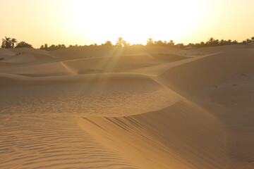 sand dunes in the desert