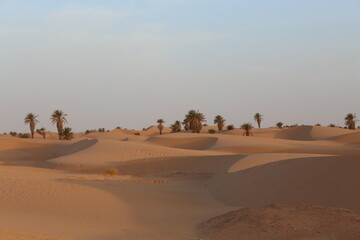 sand dunes in the desert