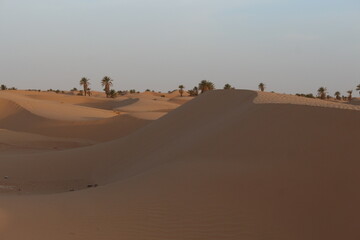 sands in the desert