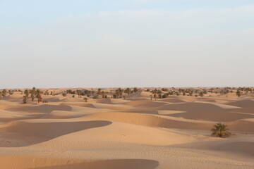sand dunes in the desert