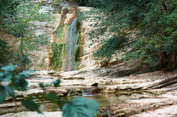 Rainforest walk with stone stairs and caves