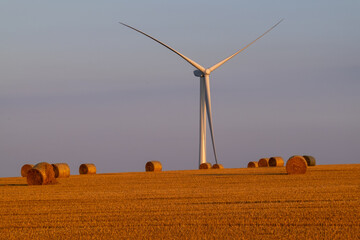 Wind turbine in straw bale field © Philip