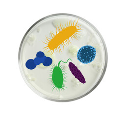 Petri dish with microbes on white background, top view. Illustration of microorganisms