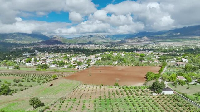 View of Olive groves and fields from a drone over Road E45, Castrovillari, Cosenza, Calabria, Italy, Europe