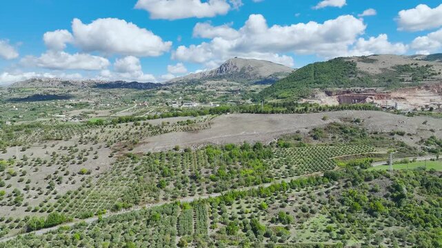 View of Olive groves and fields from a drone over Road E45, Castrovillari, Cosenza, Calabria, Italy, Europe