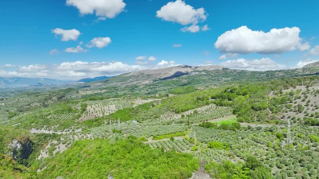 View of Olive groves and fields from a drone over Road E45, Castrovillari, Cosenza, Calabria, Italy, Europe