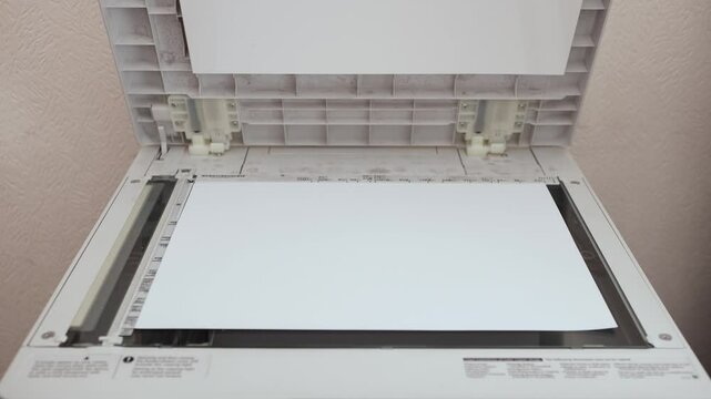 An office worker scans an A3 sheet of paper on a scanner. A man's hand presses a button to scan or copy a document on an office MFP.