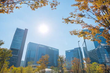 うめきたの風景