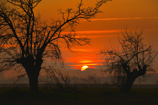 Tramonto in camapagna, Spinetta Marengo. Alessandria, Piemonte, Italia