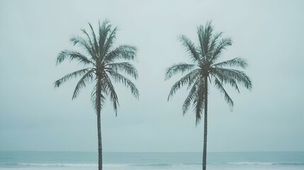 Fototapeta premium Serene twin palm trees framing a tranquil ocean under a soft, muted sky. Minimalist beach scene.