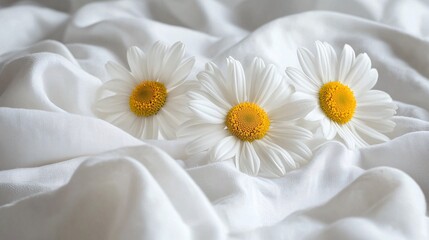 Obraz premium A tranquil arrangement of daisy petals forming a pattern on a soft cotton sheet Stock Photo with side copy space