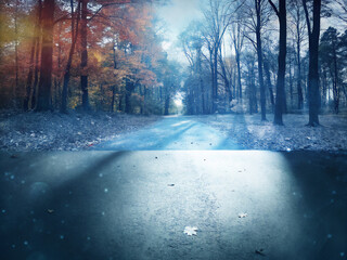 Obraz premium road in the forest. winter, snow, tree, forest, road, cold, landscape, nature, trees, white, park, ice, frost, sky, season, path, branch, snowy, christmas, wood, blue, frozen, woods, outdoors, scene