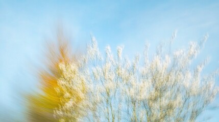 Beautiful Blurred Spring Nature with Blooming Trees and Flowers