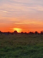 Obraz premium sunset in the desert