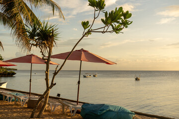 Naklejka premium sunset on the beach