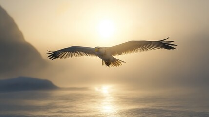 Majestic eagle soaring over misty sea at sunrise.