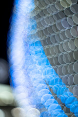 イルミネーション