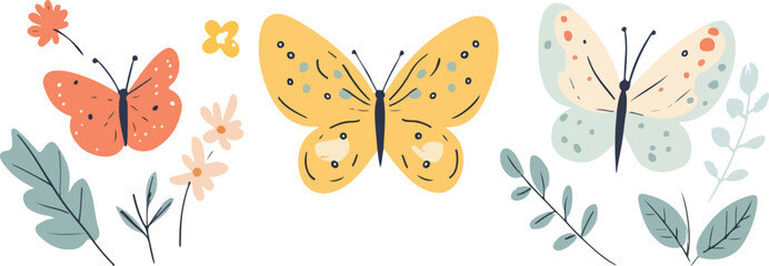 Flat butterfly collection