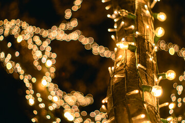 イルミネーション