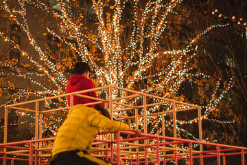 イルミネーション