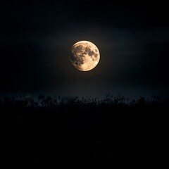 Fototapeta premium Bright full moon over dark silhouetted plants at night.