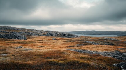 Obraz premium Landscape, nature, moody sky, rocky terrain with dry grass, scenic view of a remote area with cloudy atmosphere and muted colors of autumn foliage