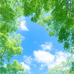 Obraz premium Lush green leaves frame a vibrant blue sky with fluffy white clouds.