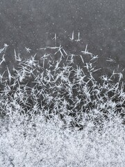 Ice texture background