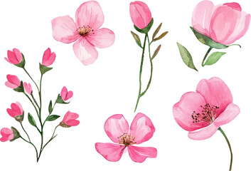 pink and white flowers