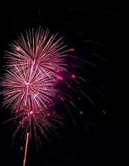 Fototapeta premium fireworks in the night sky