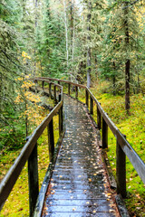 Fototapeta premium A wooden bridge over a forest with leaves on the ground