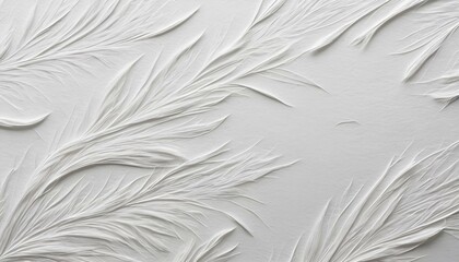 Obraz premium white feathers background