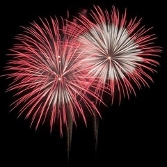 Fototapeta premium Two vibrant fireworks bursts, red and white, against a black night sky.