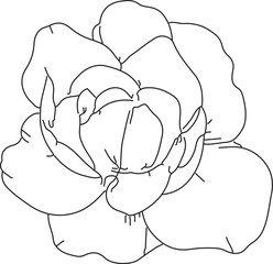 Silhouette Flower Art And Vector Stock Photo