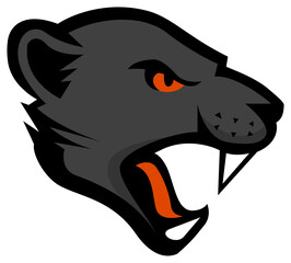 panther sports logo