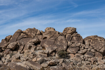 Colorado Desert section of the Sonoran Desert. Pinto Basin Rd, Joshua Tree National Park...
